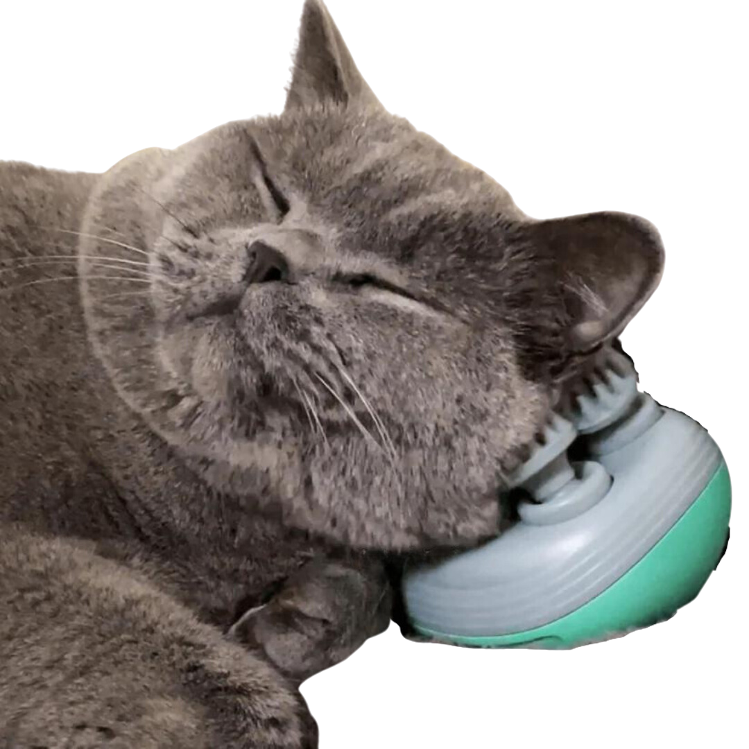 Pet Massager