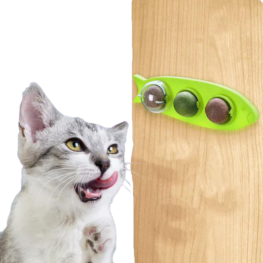 Stick-on Catnip Station