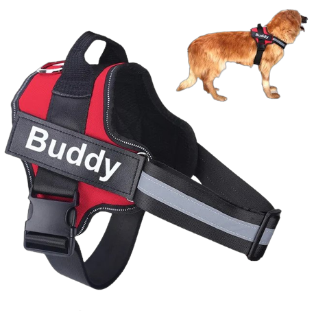 No Pull Dog Harness